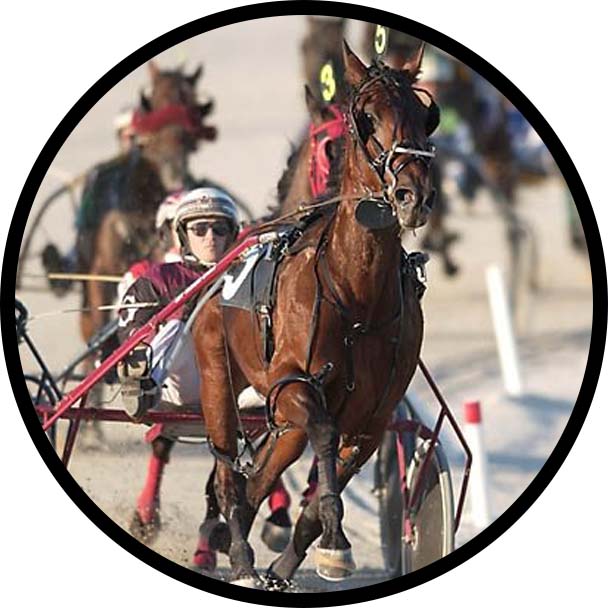 Flamboro Downs Ractrack Icon